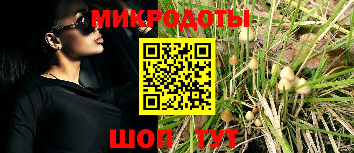 Галлюциногенные грибы мухоморы Знаменск