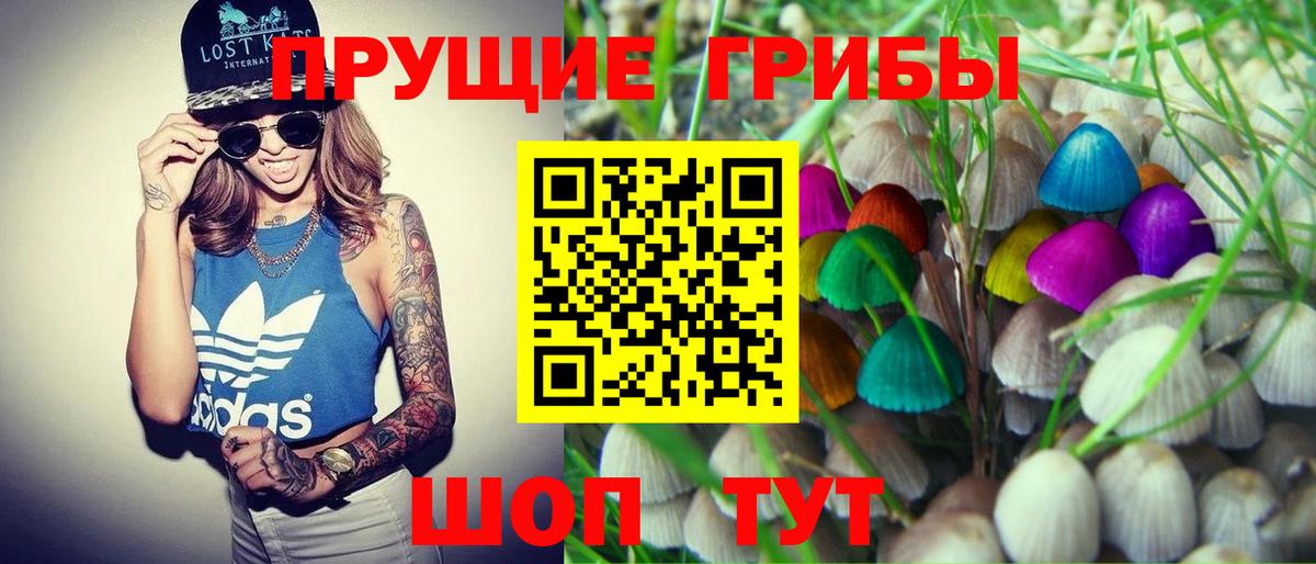 Псилоцибиновые грибы Cubensis  Псилоцибиновые грибы MAGIC MUSHROOMS  Знаменск  Вход с VPN 